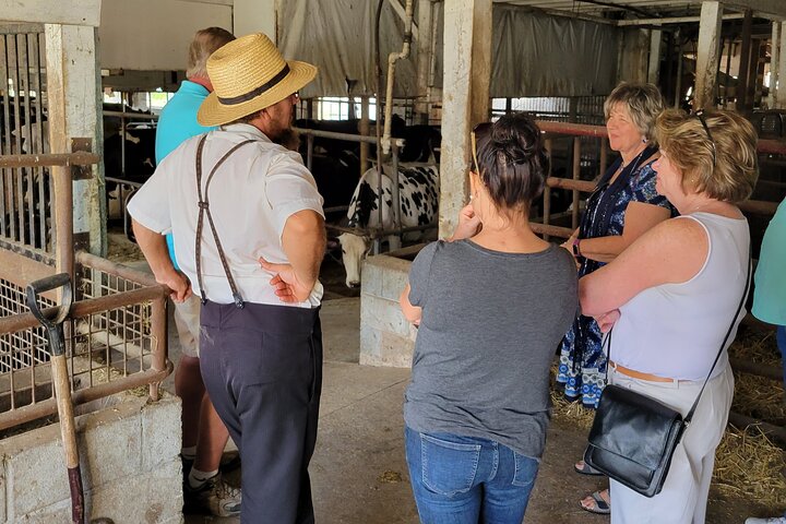 Unique Amish Immersion in Lancaster
