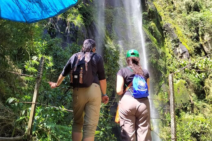 Colombia’s Tallest Waterfalls: La Chorrera Hike