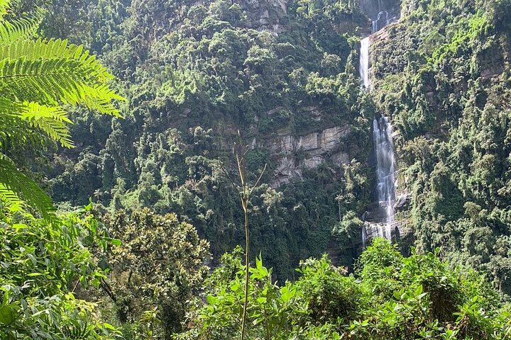 Colombia’s Tallest Waterfalls: La Chorrera Hike