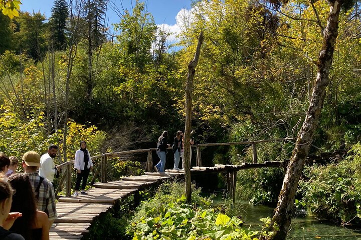 Plitvice Lakes National Park Guided Day Tour from Split