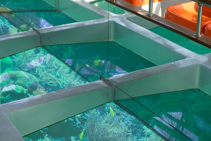 Glass-Bottom Boat 2-hours Tour and Coral-Reef Viewing from Aqaba