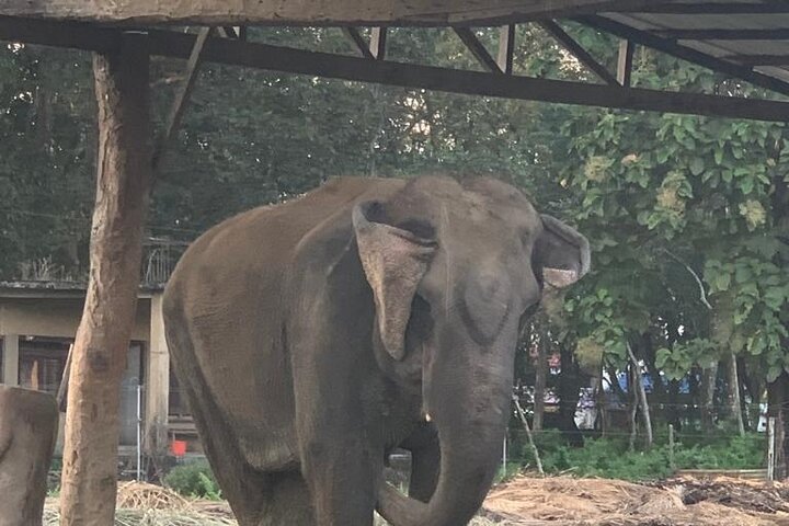 3-Day Chitwan Jungle Safari from Kathmandu – All-Inclusive Tour