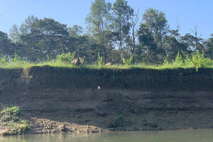 3-Day Chitwan Jungle Safari from Kathmandu – All-Inclusive Tour