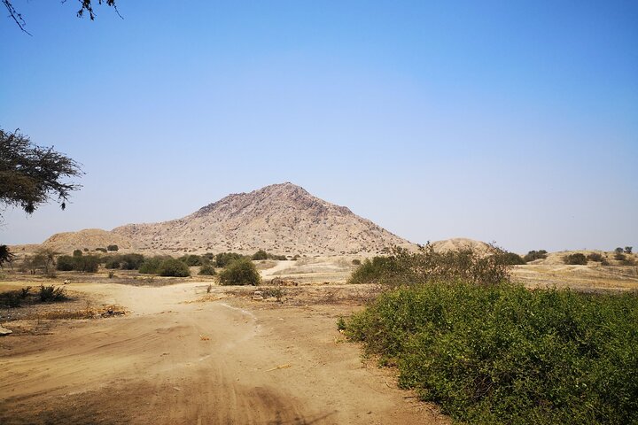 Piramids of Tucume Tour, Sican Museum and Lambayeque city tour