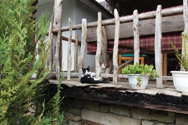 Highlights of Moldova - Curchi, Old Orhei and Cricova (Optional)