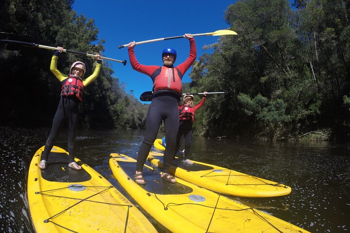Blackwater Tubing Green Route Forest Adventure