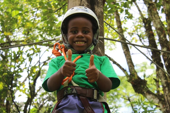 Tree climbing among the araucarias