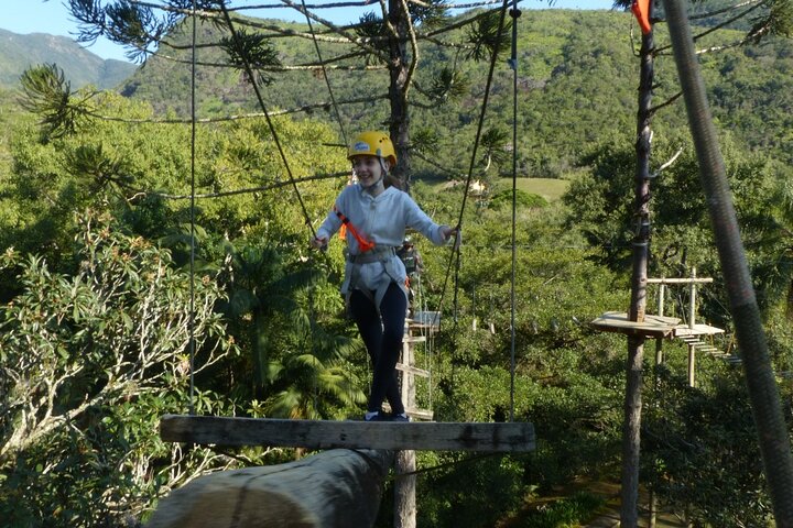 Tree climbing among the araucarias