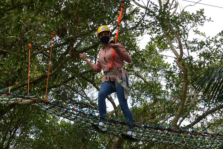 Tree climbing among the araucarias