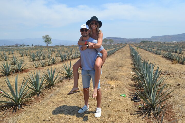 Full Day Tour to Tequila and Amatitán with Fun and Culture