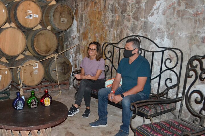 Full Day Tour to Tequila and Amatitán with Fun and Culture