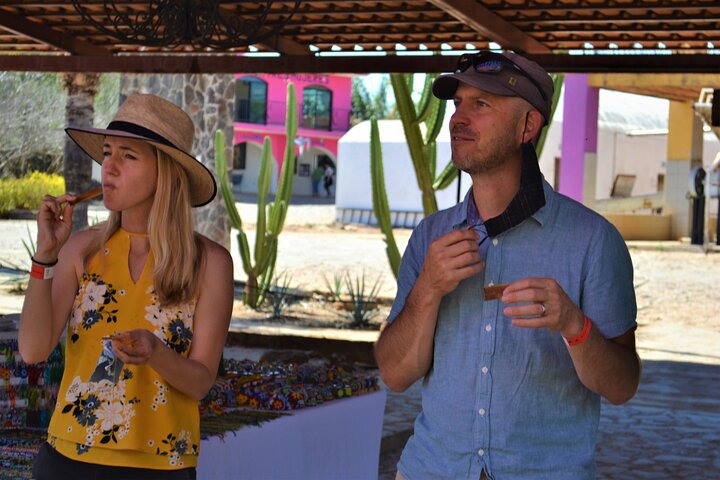 Full Day Tour to Tequila and Amatitán with Fun and Culture