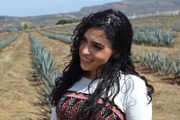 Full Day Tour to Tequila and Amatitán with Fun and Culture