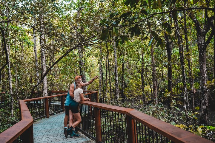 Half-Day Daintree Rainforest Tour