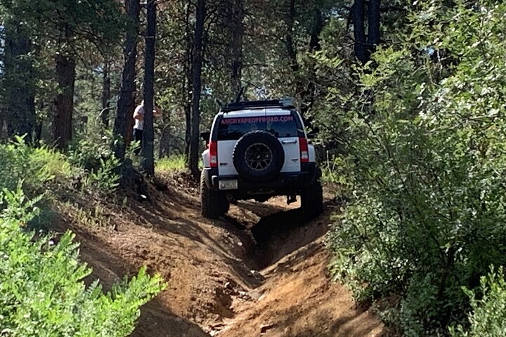 Private Off Road Adventure Tours in the Prescott National Forest