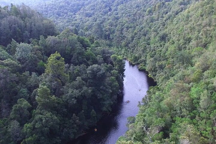 Blackwater Tubing Green Route Forest Adventure