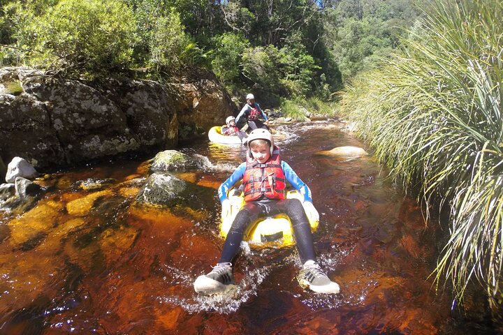 Blackwater Tubing Green Route Forest Adventure