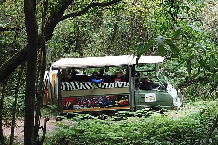 Blackwater Tubing Green Route Forest Adventure