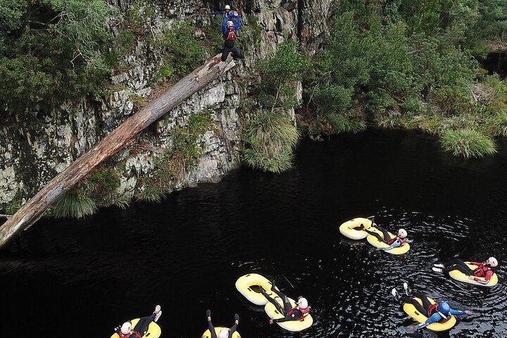 Blackwater Tubing Green Route Forest Adventure