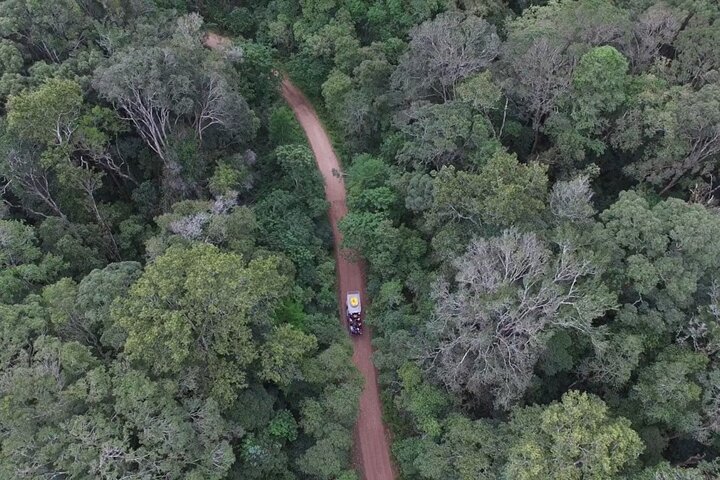 Blackwater Tubing Green Route Forest Adventure