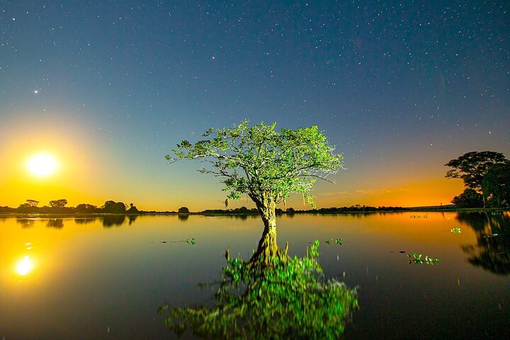 8 Days Jaguars and Pantanal Safari tour