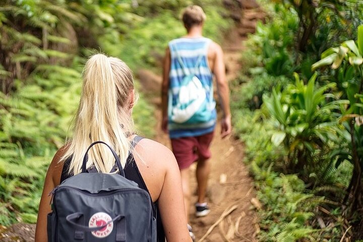 MINCA TOUR - Explore waterfalls and discover the origin of coffee and cocoa