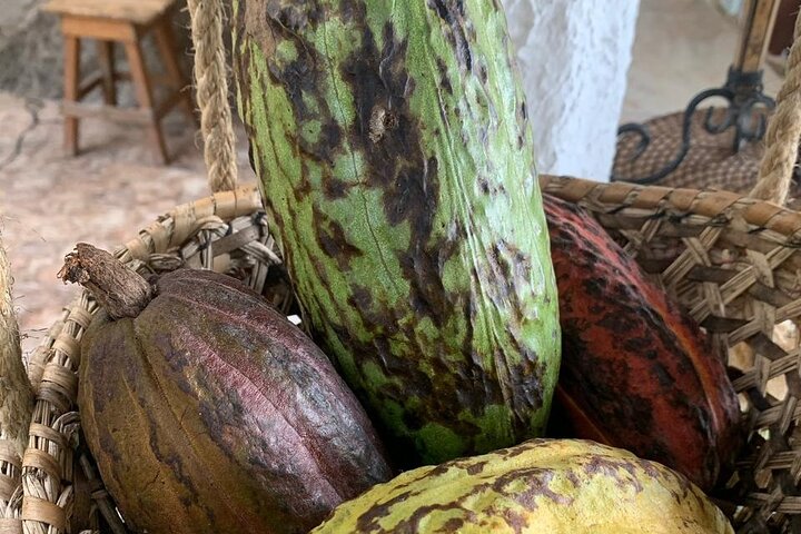 MINCA TOUR - Explore waterfalls and discover the origin of coffee and cocoa