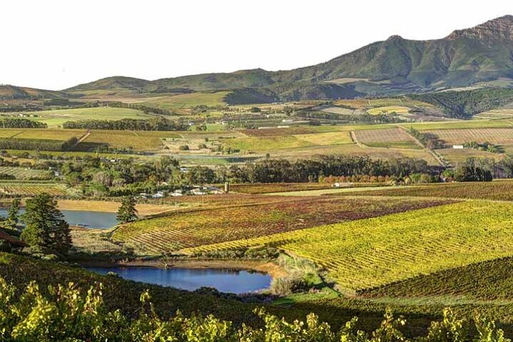 Wine Tour: Paarl, Franschhoek & Stellenbosch incl 3 wineries