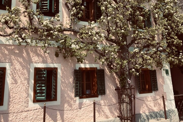 Self-Guided Private Tour of Hallstatt. Best photo-points, panoramic views, cafes