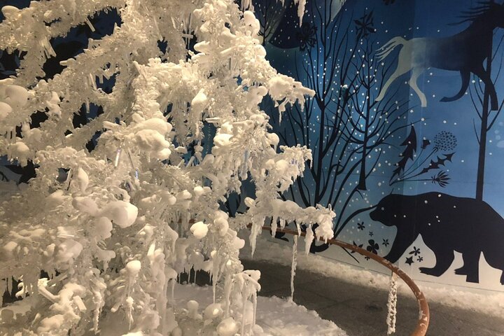 Private Tour of Swarovski Crystal World from Innsbruck