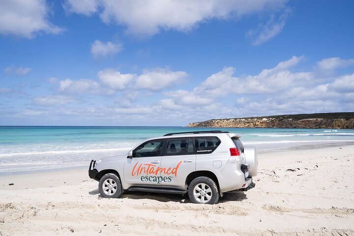 One Day Port Lincoln Tour - Tasting Eyre