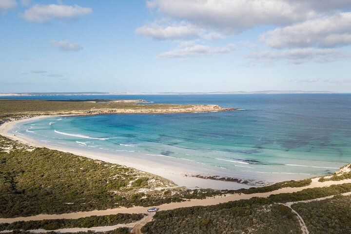 One Day Port Lincoln Tour - Tasting Eyre