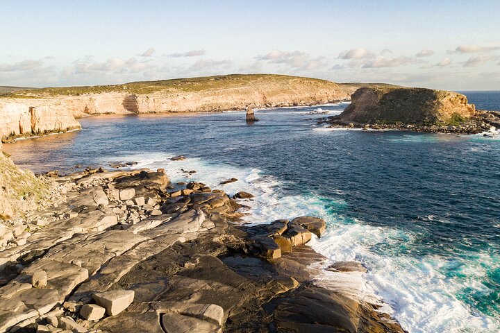 One Day Port Lincoln Tour - Tasting Eyre