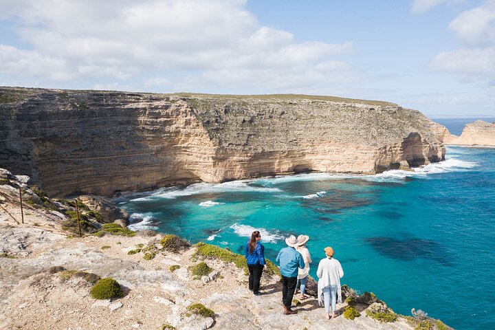 One Day Port Lincoln Tour - Tasting Eyre
