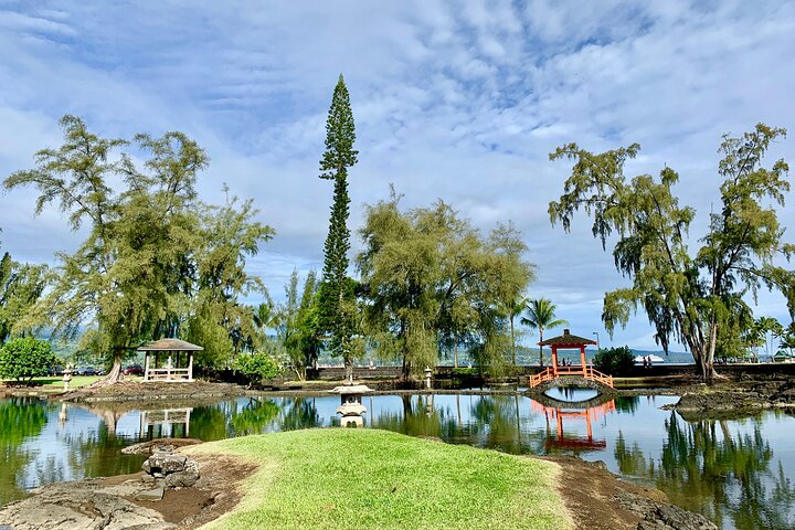 Hawaii Volcanoes National Park and Hilo Highlights Small Group Tour