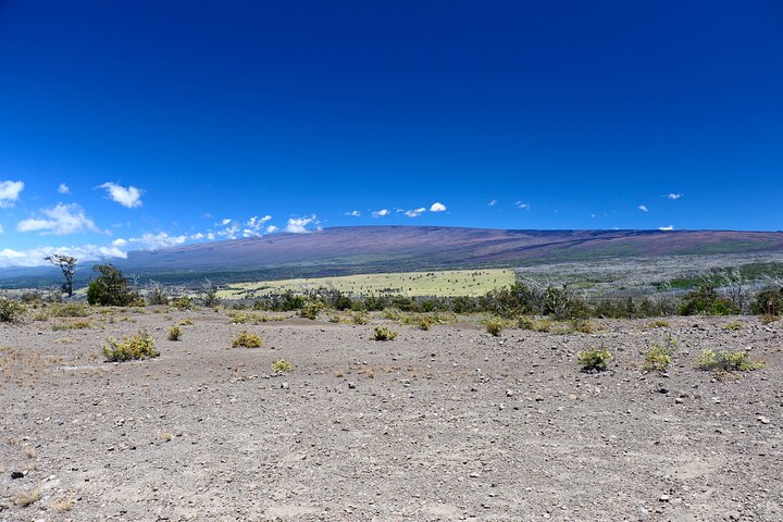 Hawaii Volcanoes National Park and Hilo Highlights Small Group Tour