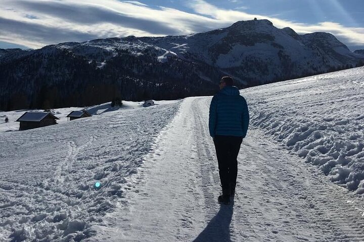 From Verona area: Private day trip to the Dolomites