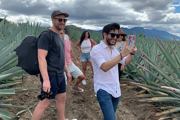 The Mezcal Journey
