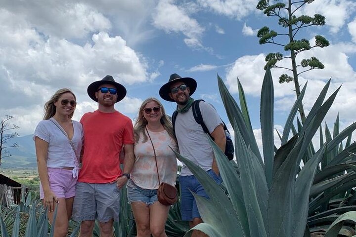 The Mezcal Journey