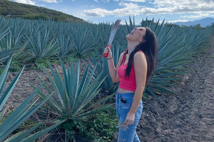 The Mezcal Journey