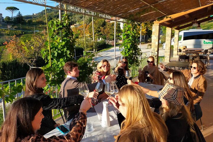 Private wine tour on the magical hills of Lucca with sommelier