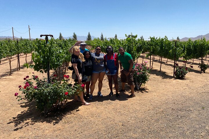 Scenic Desert Wine Distillery Brewery Route 66 Tour
