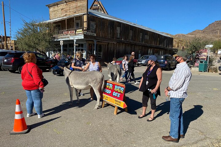 Oatman Mining Camp & Burros: Historic Route 66 Tour from Laughlin