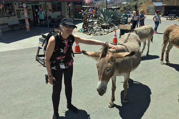 Oatman Mining Camp & Burros: Historic Route 66 Tour from Laughlin