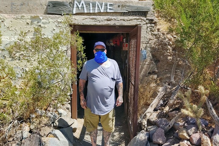 Oatman Mining Camp & Burros: Historic Route 66 Tour from Laughlin