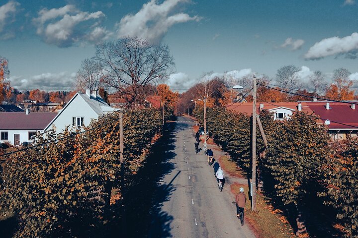Around Viljandi bike tour