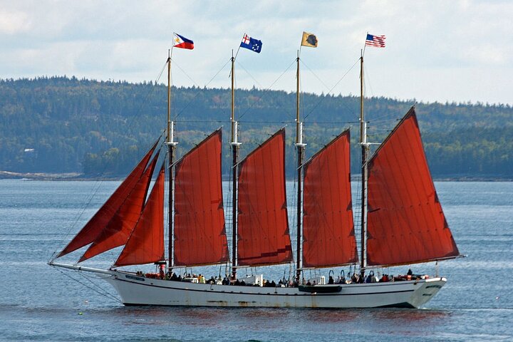 1.5 to 2-Hr Windjammer Sailing Trip in Maine w/ Licensed Captain
