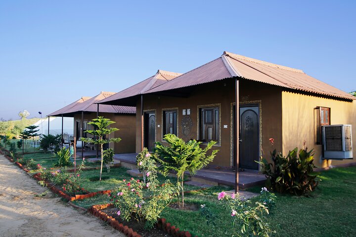 Camel Safari With Night Stay in Camp