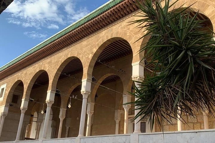 Private tour: Medina,Carthage ,Sidi Bou Said, Bardo Museum+lunch