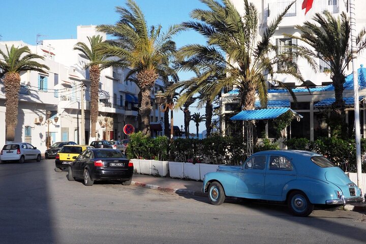 Private tour: Medina,Carthage ,Sidi Bou Said, Bardo Museum+lunch